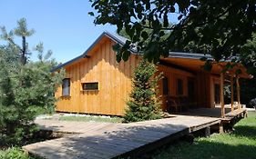 Nica Wood